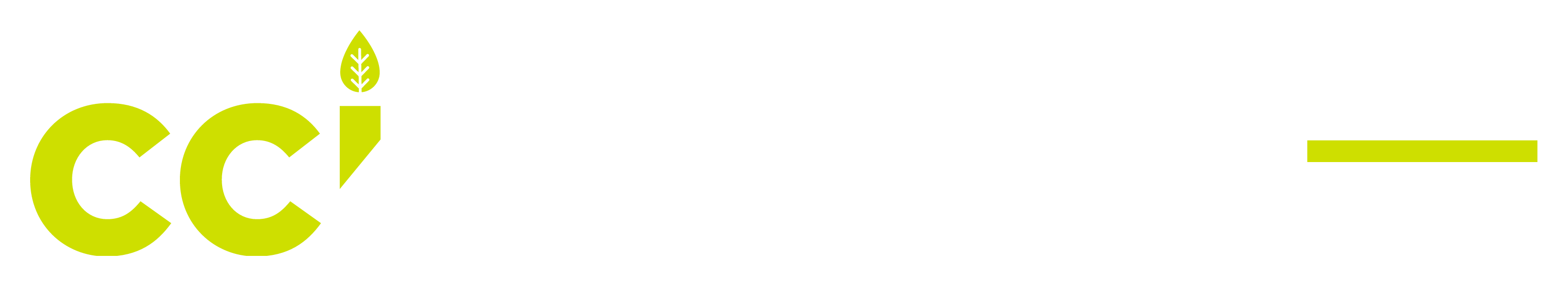 CCHSM